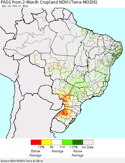 Brazil PASG from 2-Month Cropland NDVI (Terra-MODIS) Thematic Map For 2/10/2022 - 2/17/2022