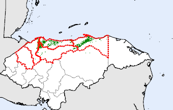 Honduras