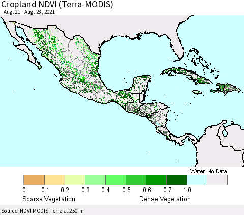 Mexico Central America and the Caribbean Cropland NDVI (Terra-MODIS) Thematic Map For 8/21/2021 - 8/28/2021