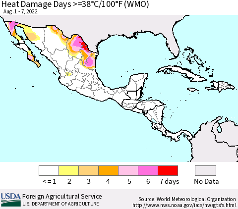 Mexico Central America and the Caribbean Heat Damage Days >=38°C/100°F (WMO) Thematic Map For 8/1/2022 - 8/7/2022