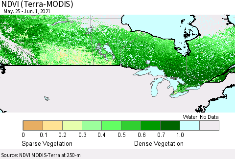 Canada NDVI (Terra-MODIS) Thematic Map For 5/25/2021 - 6/1/2021