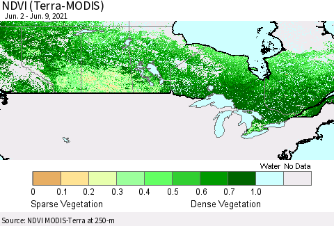 Canada NDVI (Terra-MODIS) Thematic Map For 6/2/2021 - 6/9/2021