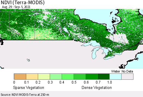Canada NDVI (Terra-MODIS) Thematic Map For 8/29/2021 - 9/5/2021