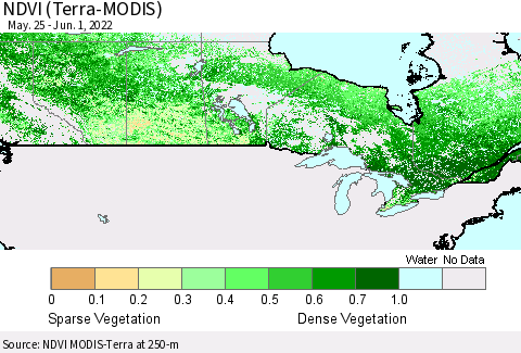 Canada NDVI (Terra-MODIS) Thematic Map For 5/25/2022 - 6/1/2022