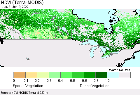 Canada NDVI (Terra-MODIS) Thematic Map For 6/2/2022 - 6/9/2022