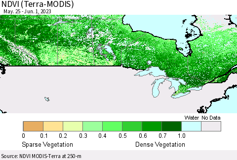 Canada NDVI (Terra-MODIS) Thematic Map For 5/25/2023 - 6/1/2023
