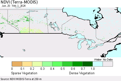 Canada NDVI (Terra-MODIS) Thematic Map For 1/25/2024 - 2/1/2024