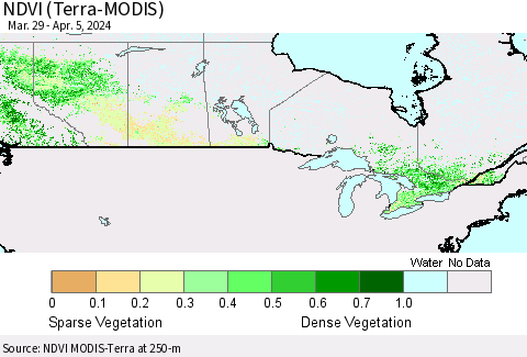 Canada NDVI (Terra-MODIS) Thematic Map For 3/29/2024 - 4/5/2024