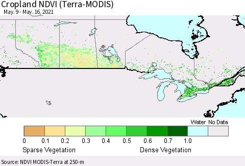 Canada Cropland NDVI (Terra-MODIS) Thematic Map For 5/9/2021 - 5/16/2021
