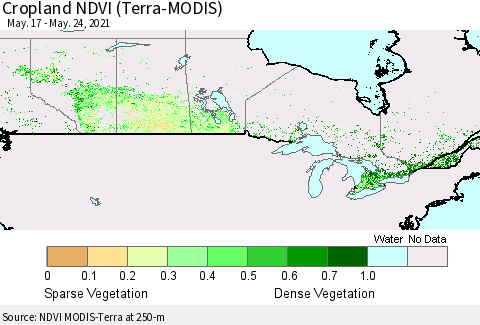 Canada Cropland NDVI (Terra-MODIS) Thematic Map For 5/17/2021 - 5/24/2021