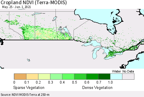 Canada Cropland NDVI (Terra-MODIS) Thematic Map For 5/25/2021 - 6/1/2021