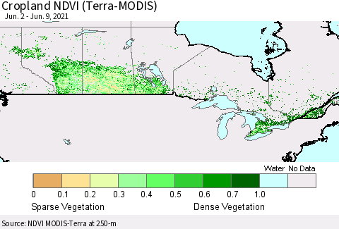 Canada Cropland NDVI (Terra-MODIS) Thematic Map For 6/2/2021 - 6/9/2021