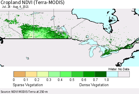 Canada Cropland NDVI (Terra-MODIS) Thematic Map For 7/28/2021 - 8/4/2021