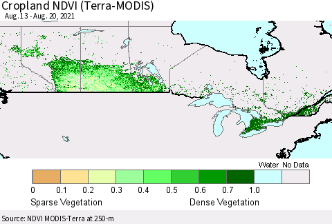 Canada Cropland NDVI (Terra-MODIS) Thematic Map For 8/13/2021 - 8/20/2021