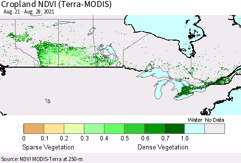 Canada Cropland NDVI (Terra-MODIS) Thematic Map For 8/21/2021 - 8/28/2021