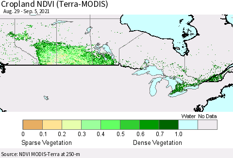 Canada Cropland NDVI (Terra-MODIS) Thematic Map For 8/29/2021 - 9/5/2021