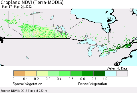 Canada Cropland NDVI (Terra-MODIS) Thematic Map For 5/17/2022 - 5/24/2022