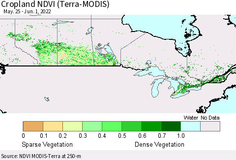 Canada Cropland NDVI (Terra-MODIS) Thematic Map For 5/25/2022 - 6/1/2022