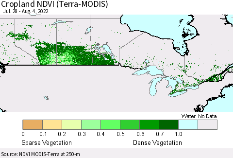 Canada Cropland NDVI (Terra-MODIS) Thematic Map For 7/28/2022 - 8/4/2022