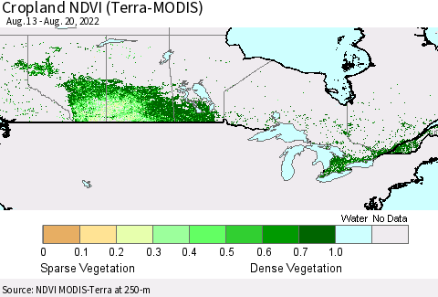 Canada Cropland NDVI (Terra-MODIS) Thematic Map For 8/13/2022 - 8/20/2022