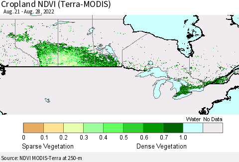 Canada Cropland NDVI (Terra-MODIS) Thematic Map For 8/21/2022 - 8/28/2022