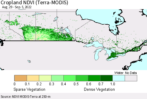 Canada Cropland NDVI (Terra-MODIS) Thematic Map For 8/29/2022 - 9/5/2022