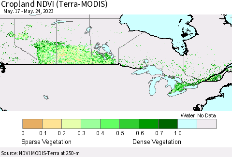 Canada Cropland NDVI (Terra-MODIS) Thematic Map For 5/17/2023 - 5/24/2023