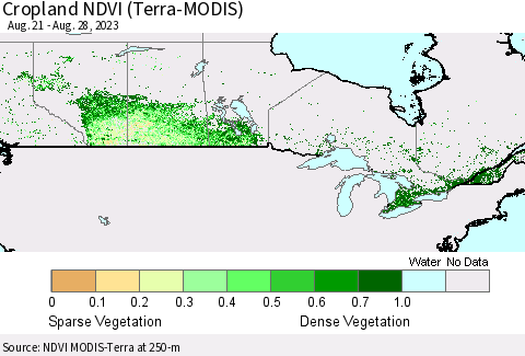 Canada Cropland NDVI (Terra-MODIS) Thematic Map For 8/21/2023 - 8/28/2023