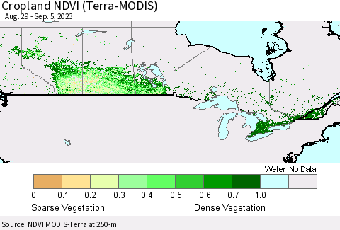 Canada Cropland NDVI (Terra-MODIS) Thematic Map For 8/29/2023 - 9/5/2023