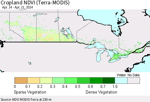 Canada Cropland NDVI (Terra-MODIS) Thematic Map For 4/14/2024 - 4/21/2024