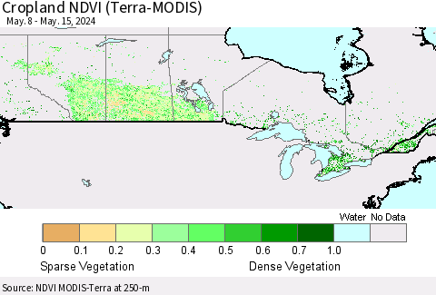 Canada Cropland NDVI (Terra-MODIS) Thematic Map For 5/8/2024 - 5/15/2024