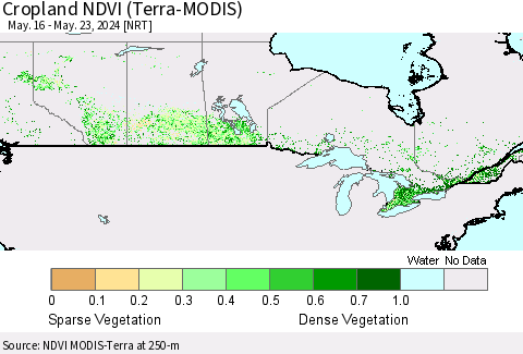 Canada Cropland NDVI (Terra-MODIS) Thematic Map For 5/16/2024 - 5/23/2024