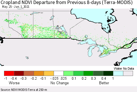 Canada Cropland NDVI Departure from Previous 8-days (Terra-MODIS) Thematic Map For 5/25/2021 - 6/1/2021