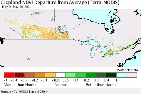 Canada Cropland NDVI Departure from Average (Terra-MODIS) Thematic Map For 5/9/2021 - 5/16/2021