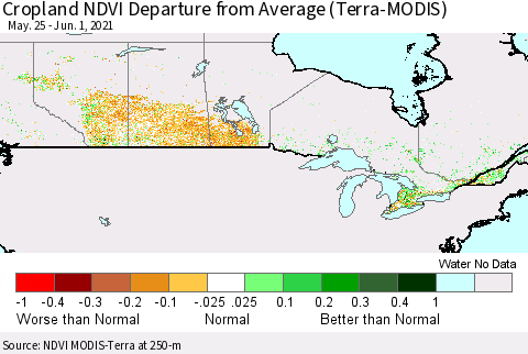 Canada Cropland NDVI Departure from Average (Terra-MODIS) Thematic Map For 5/25/2021 - 6/1/2021