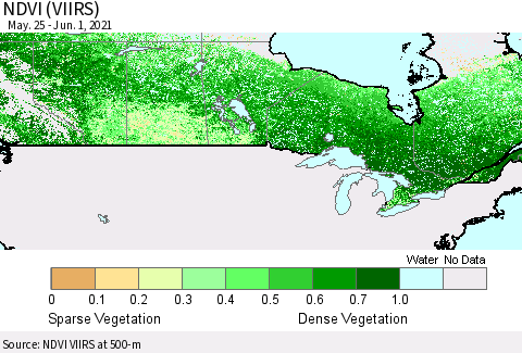 Canada NDVI (VIIRS) Thematic Map For 5/25/2021 - 6/1/2021