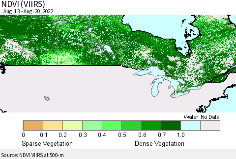 Canada NDVI (VIIRS) Thematic Map For 8/13/2022 - 8/20/2022