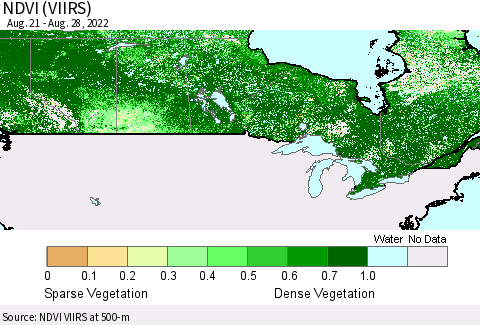 Canada NDVI (VIIRS) Thematic Map For 8/21/2022 - 8/28/2022
