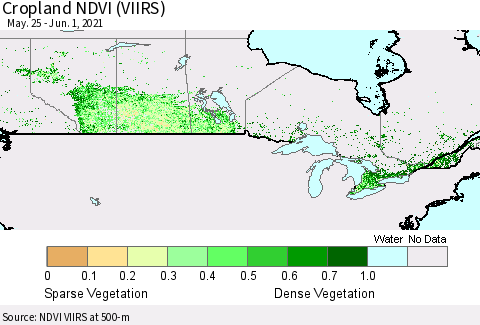 Canada Cropland NDVI (VIIRS) Thematic Map For 5/25/2021 - 6/1/2021