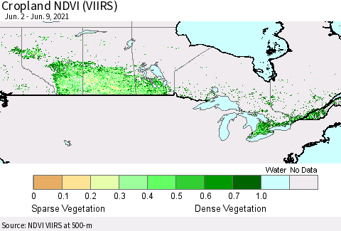 Canada Cropland NDVI (VIIRS) Thematic Map For 6/2/2021 - 6/9/2021