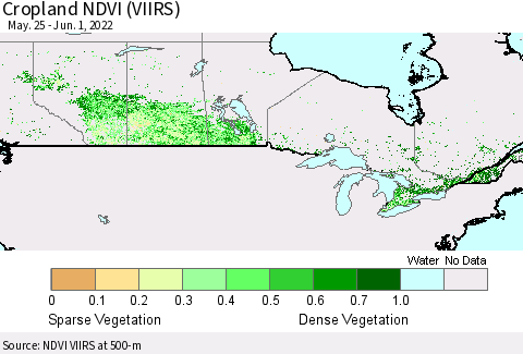 Canada Cropland NDVI (VIIRS) Thematic Map For 5/25/2022 - 6/1/2022