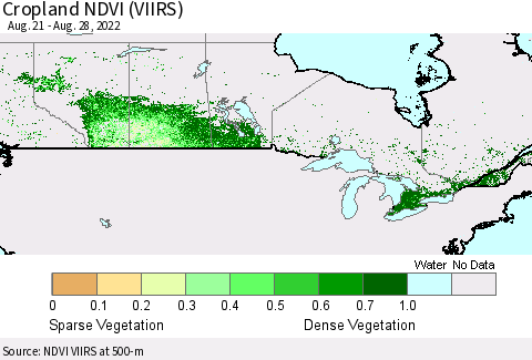 Canada Cropland NDVI (VIIRS) Thematic Map For 8/21/2022 - 8/28/2022