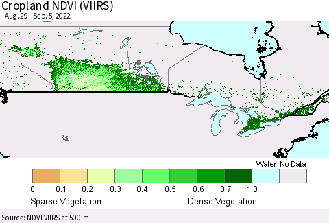Canada Cropland NDVI (VIIRS) Thematic Map For 8/29/2022 - 9/5/2022