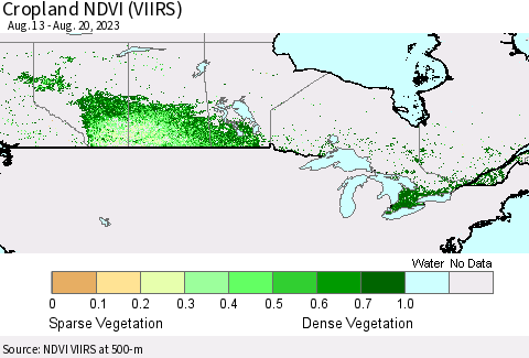 Canada Cropland NDVI (VIIRS) Thematic Map For 8/13/2023 - 8/20/2023