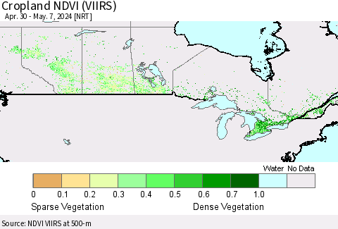 Canada Cropland NDVI (VIIRS) Thematic Map For 4/30/2024 - 5/7/2024
