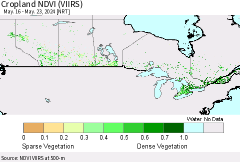 Canada Cropland NDVI (VIIRS) Thematic Map For 5/16/2024 - 5/23/2024