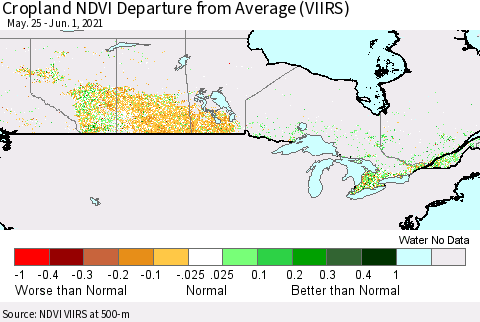 Canada Cropland NDVI Departure from Average (VIIRS) Thematic Map For 5/25/2021 - 6/1/2021