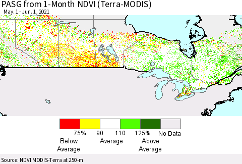 Canada PASG from 1-Month NDVI (Terra-MODIS) Thematic Map For 5/25/2021 - 6/1/2021