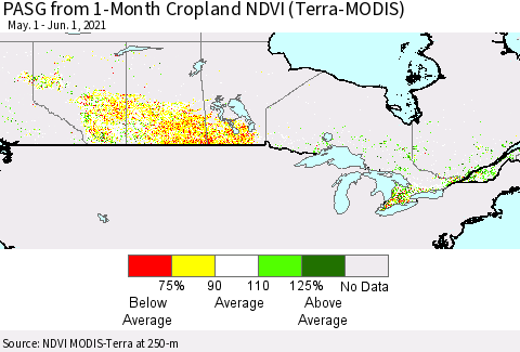 Canada PASG from 1-Month Cropland NDVI (Terra-MODIS) Thematic Map For 5/25/2021 - 6/1/2021