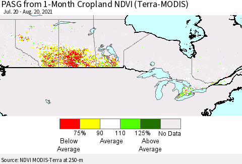 Canada PASG from 1-Month Cropland NDVI (Terra-MODIS) Thematic Map For 8/13/2021 - 8/20/2021